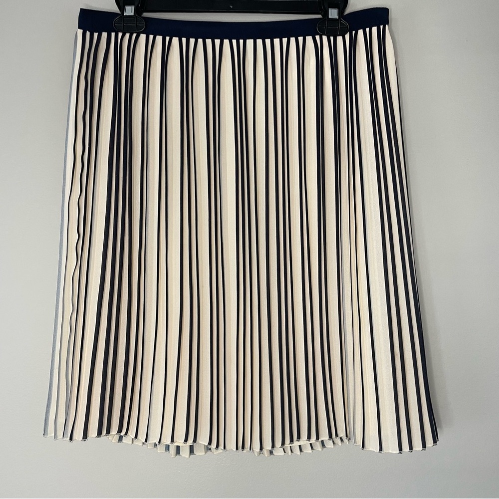 J.Crew Stripe Pleated Skirt